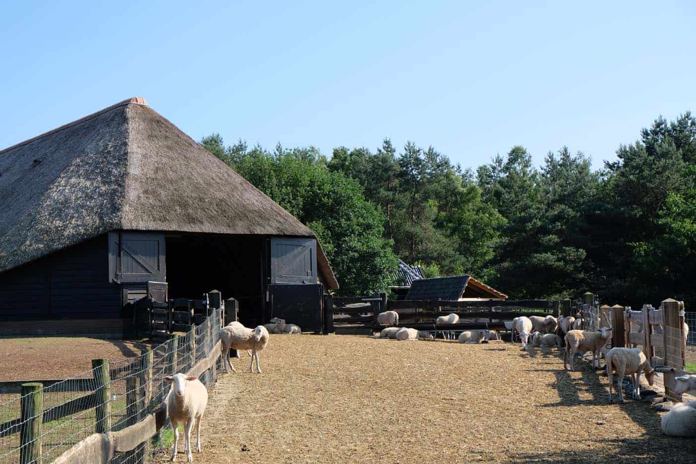 Ermelo bezienswaardigheden schaapskooi