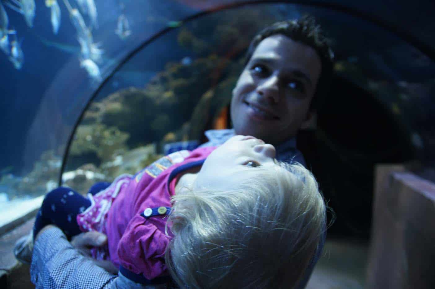 Hannover met kinderen sealife