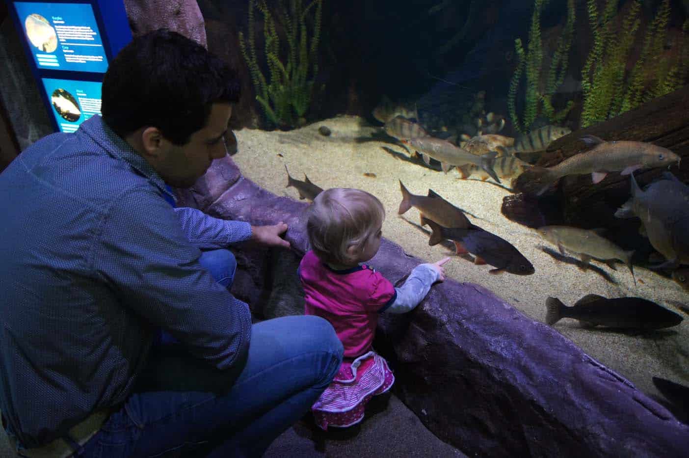 Hannover met kinderen sealife