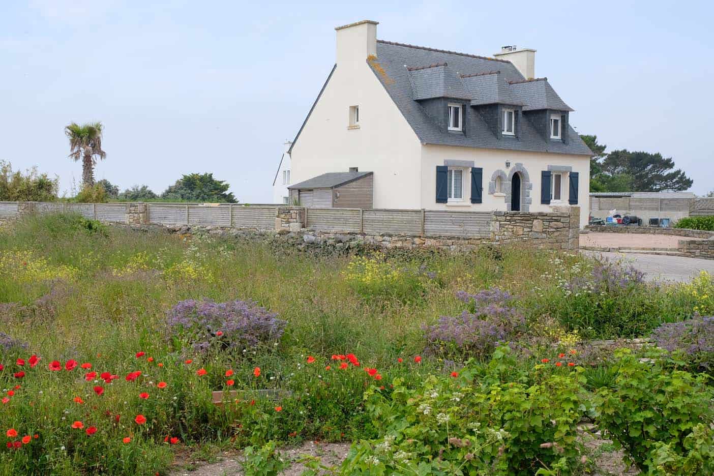 ile eiland Molène bretagne