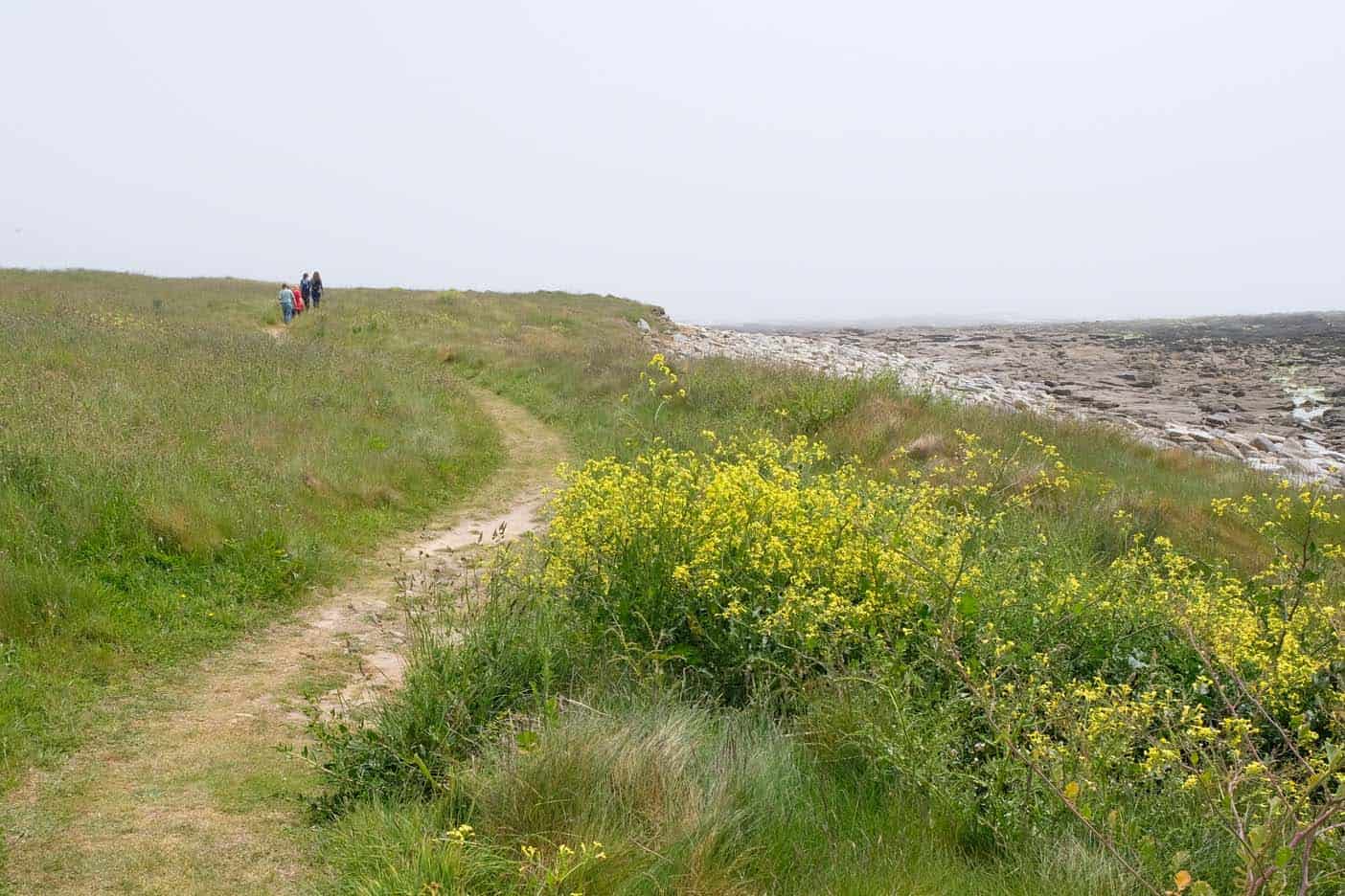 ile eiland Molène bretagne