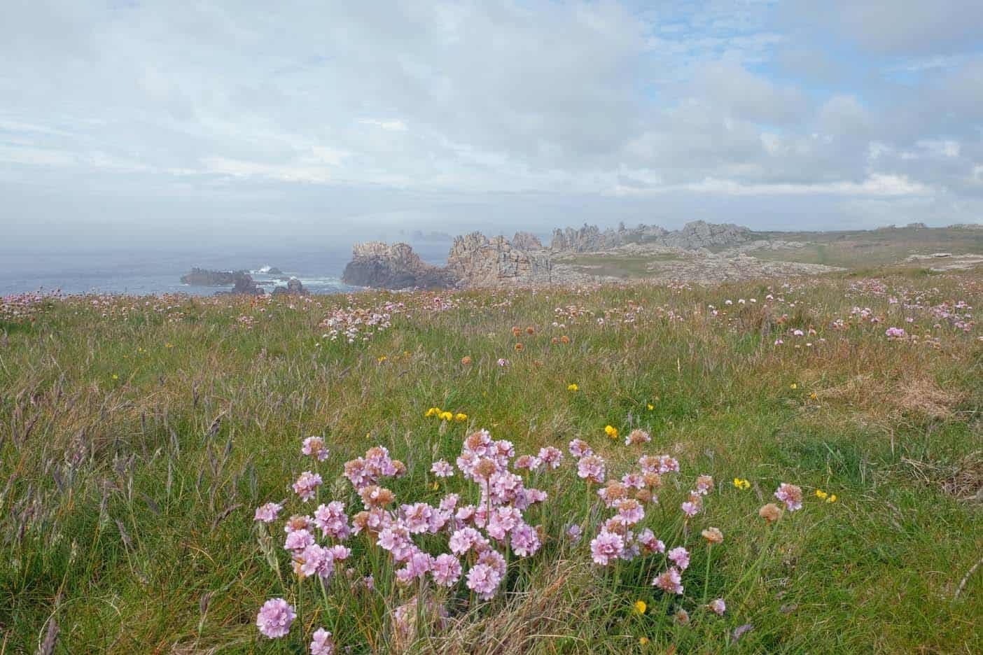 ouessant eiland frankrijk