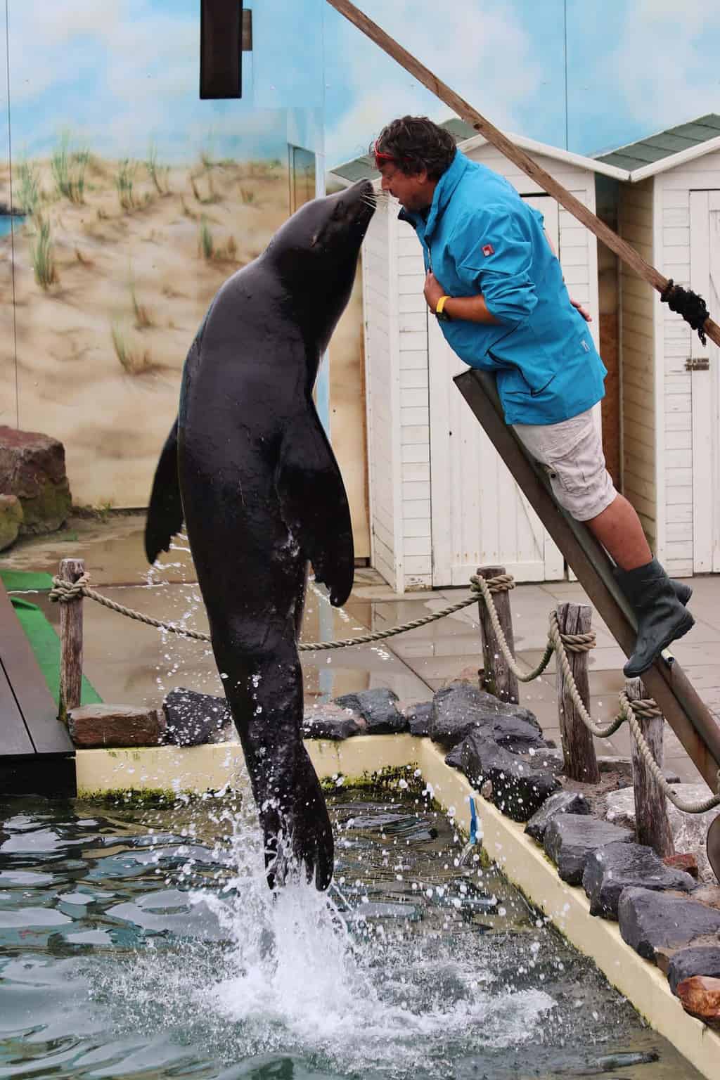 Dierenshows Deltapark Neeltje Jans