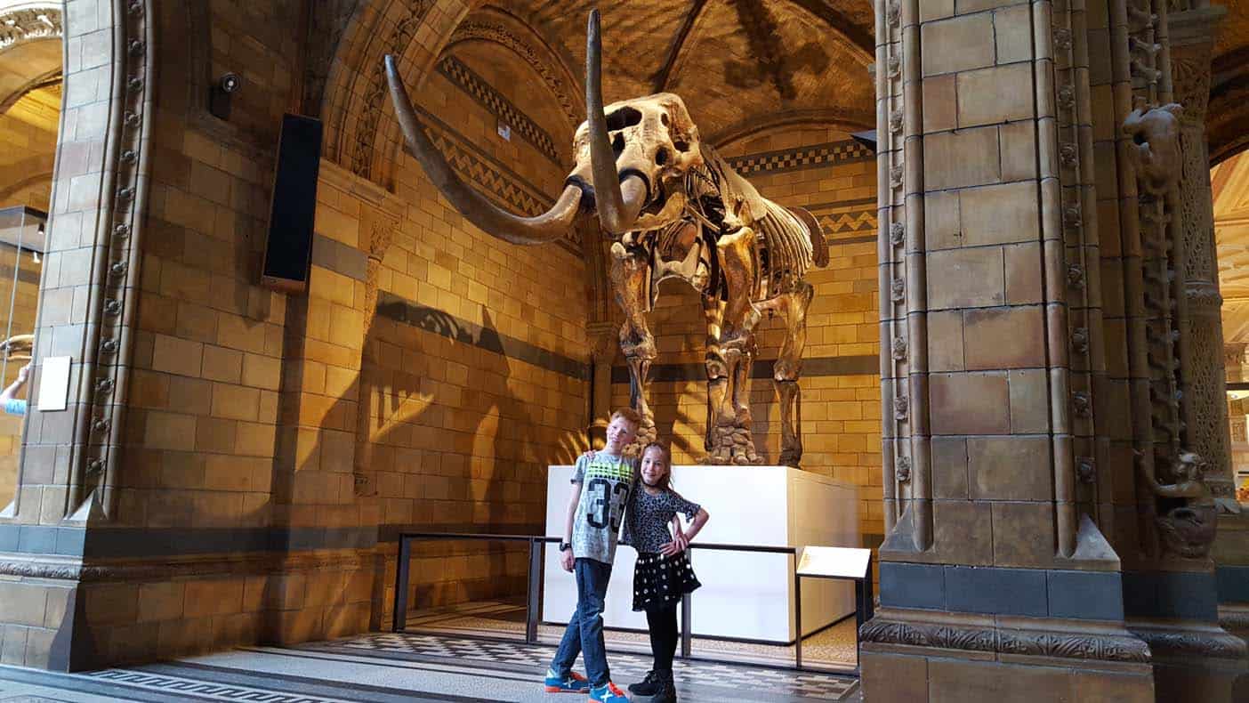 Museum of Natural History