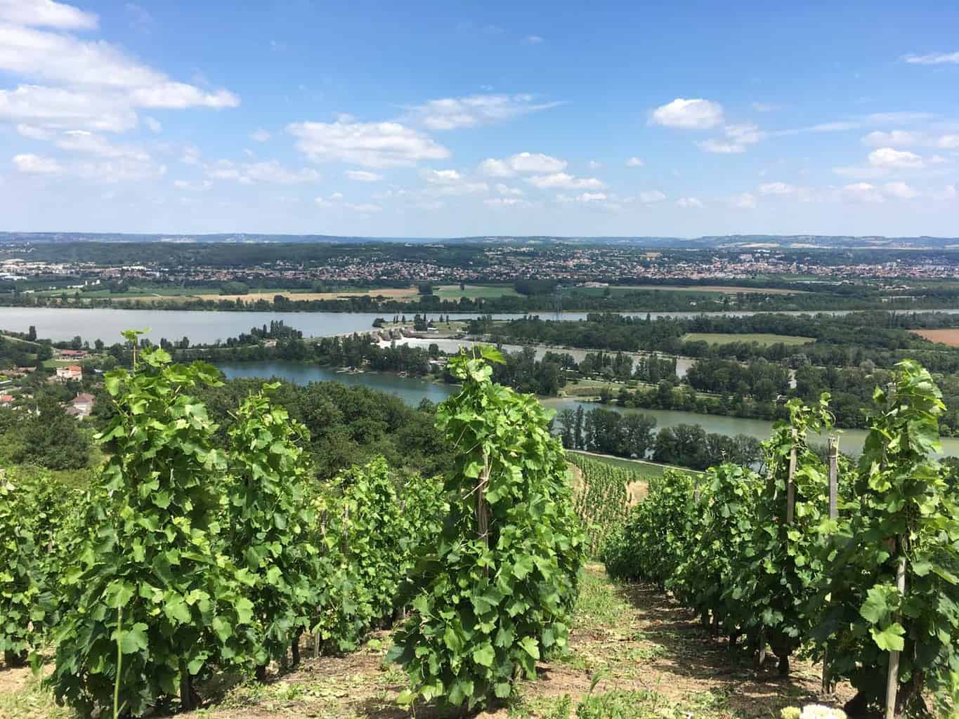 Fietsen door het regionale natuurpark Pilat