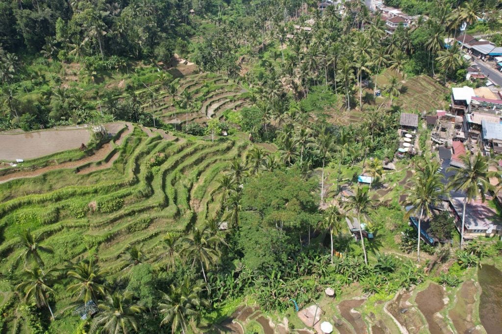 bali met kinderen