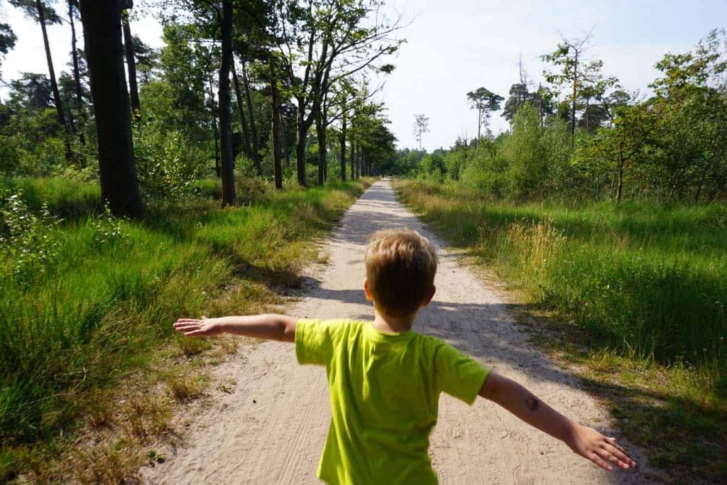 boswachterpad wandelen