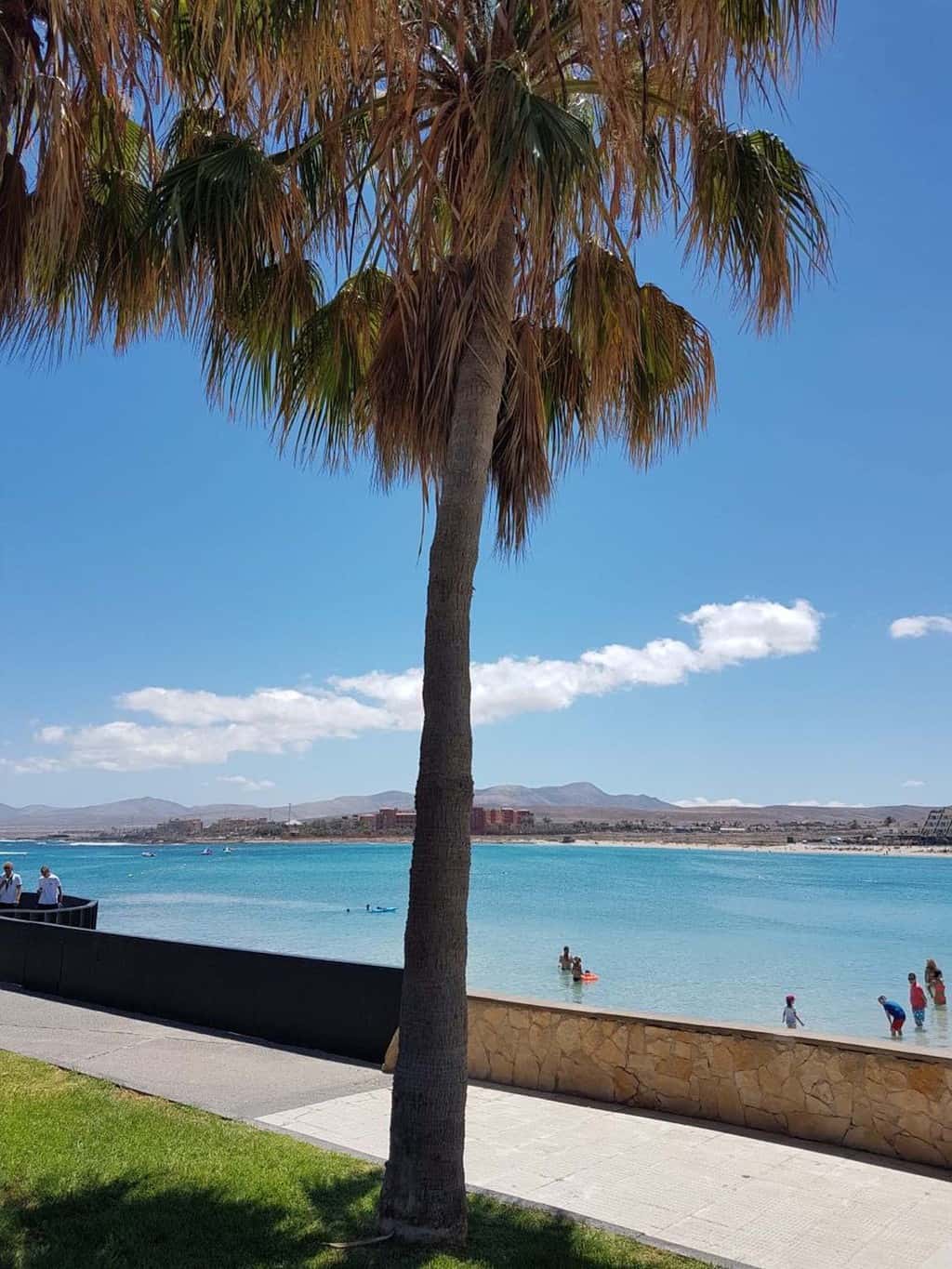 fuerteventura kid all-inclusive-