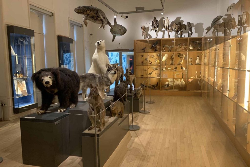 Natuurhistorisch museum Rotterdam