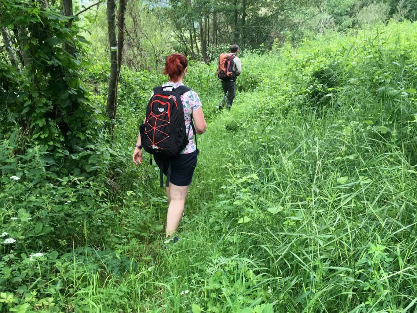 Wandelen langs de oever van de Loire