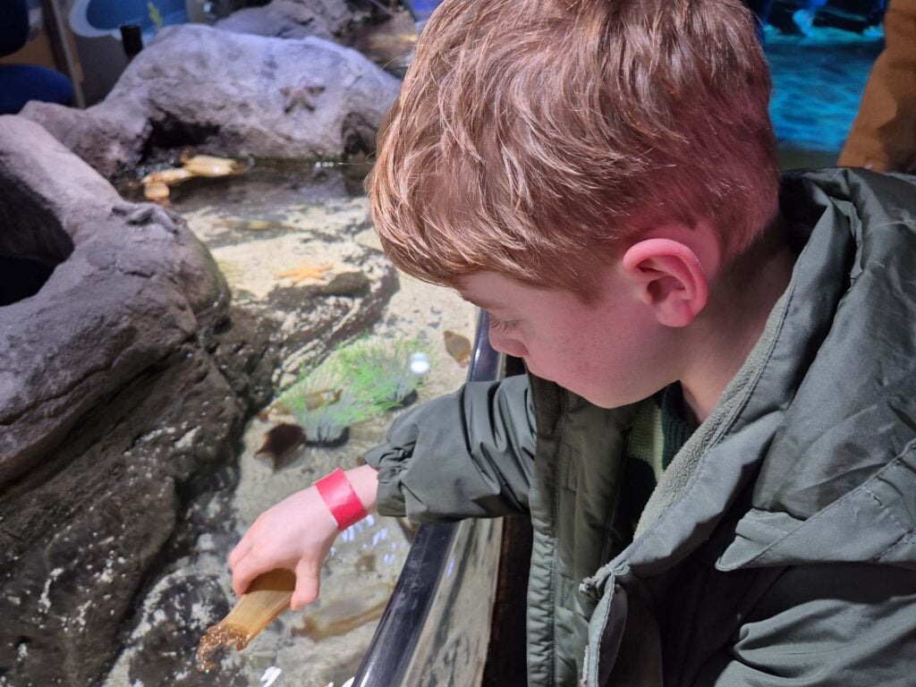 sea life londen met kinderen