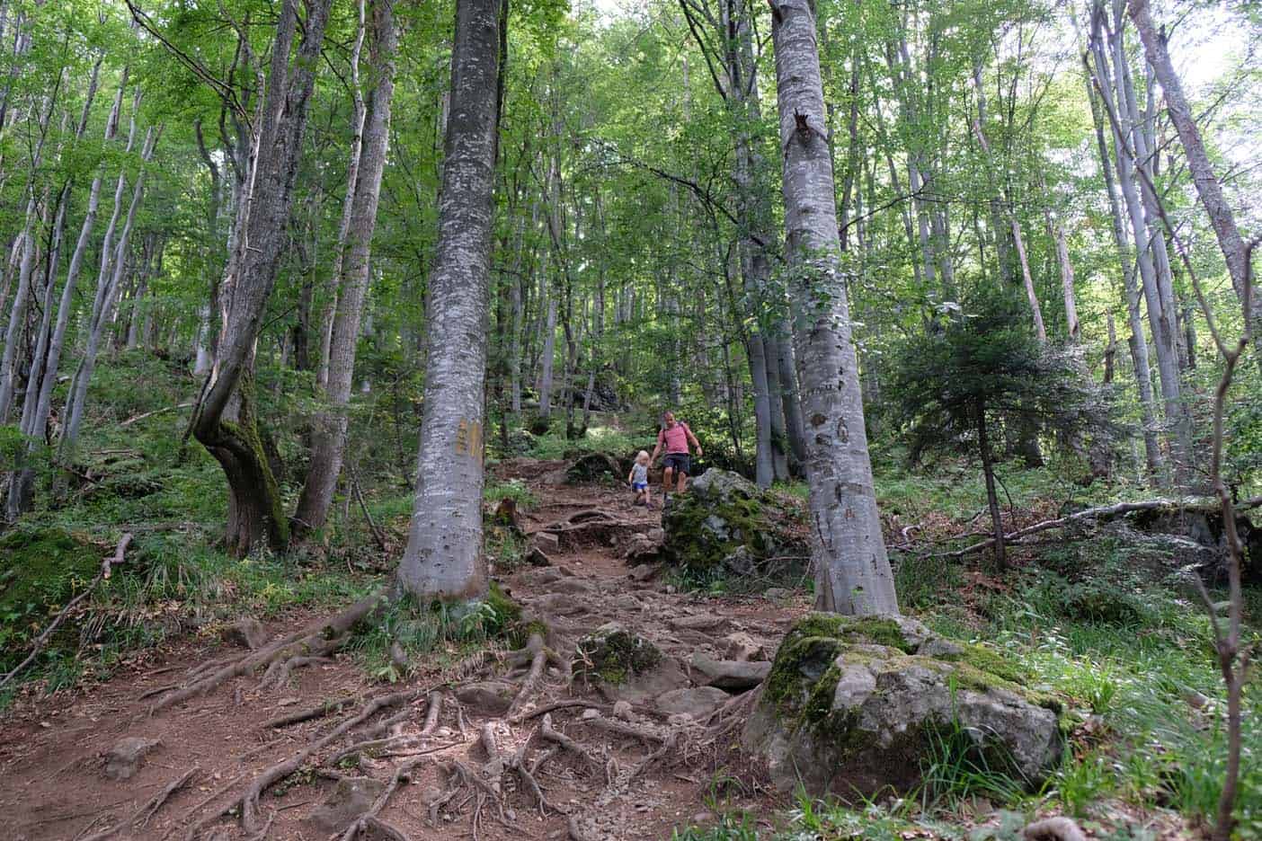 Mt vitoscha bulgarije wandelen