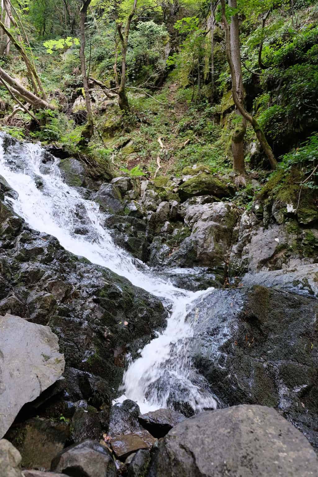 Mt vitoscha bulgarije wandelen