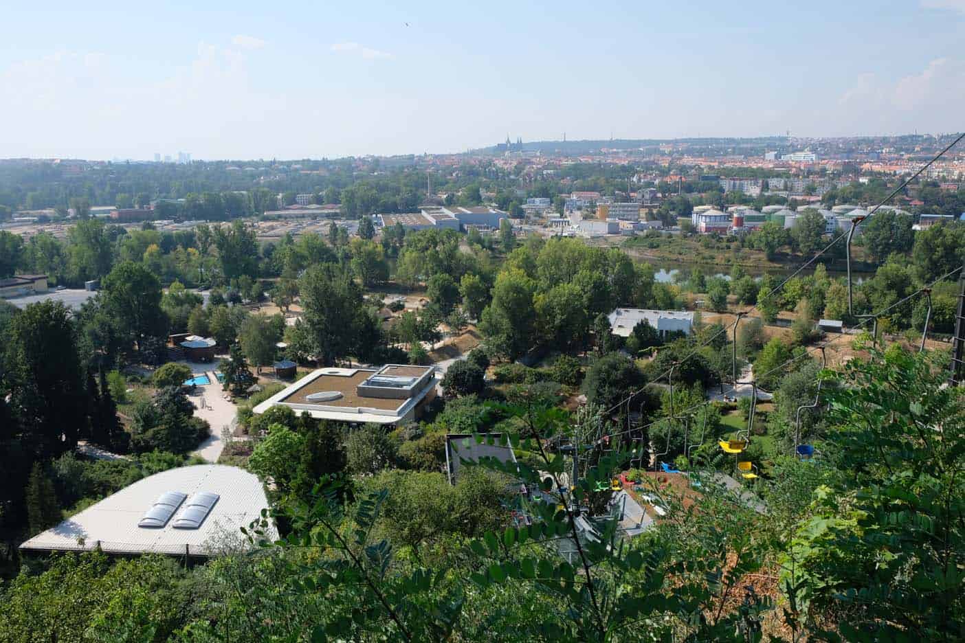 Praag met kinderen dierentuin