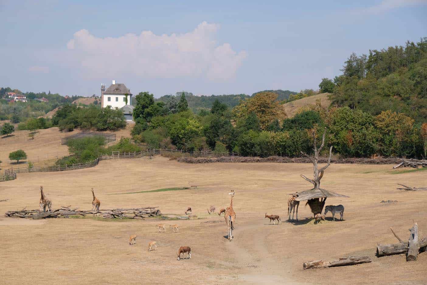 Praag met kinderen dierentuin