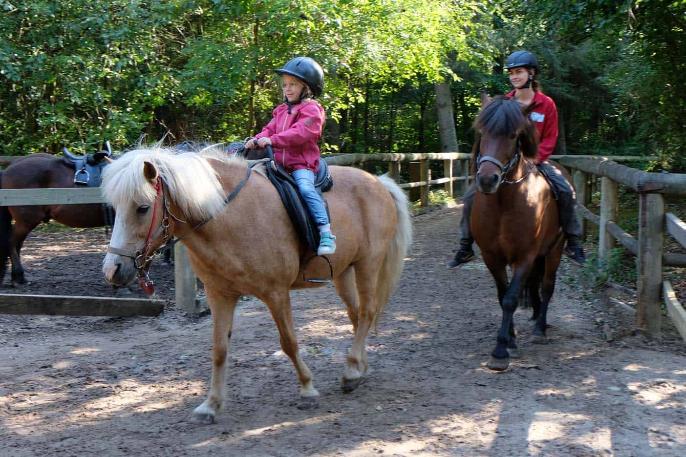 Paardrijden farup sommerland