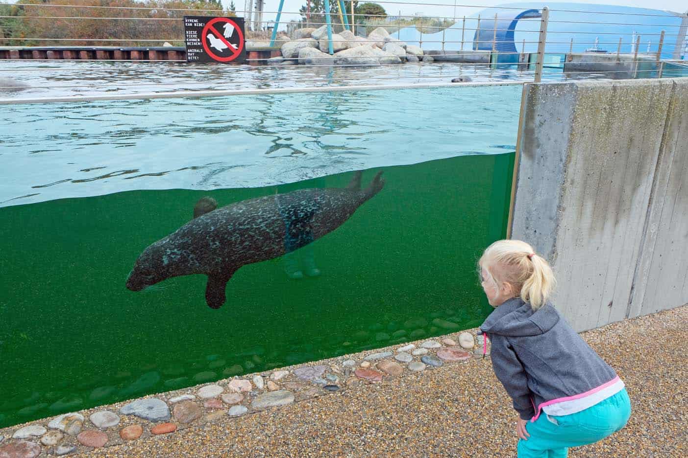 Noordzee Oceanarium Denemarken 