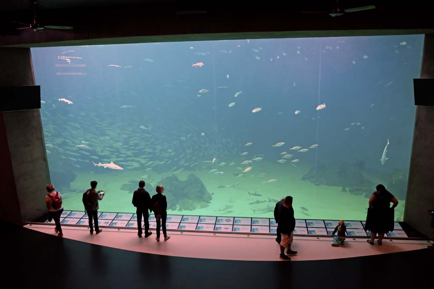 Noordzee Oceanarium Denemarken 