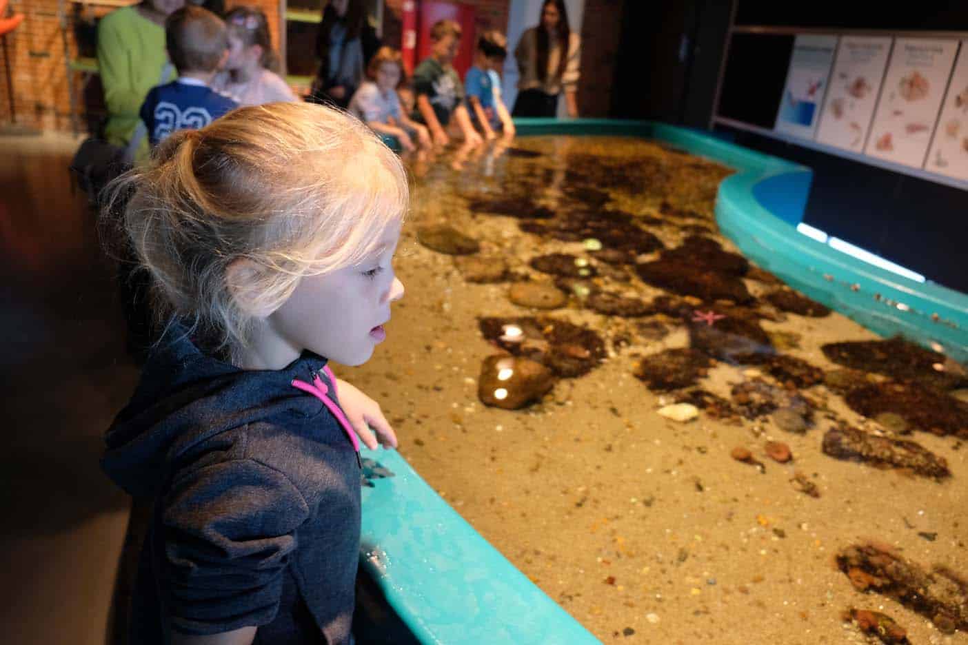 Noordzee Oceanarium Denemarken