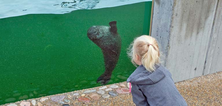 Noordzee Oceanarium Denemarken 