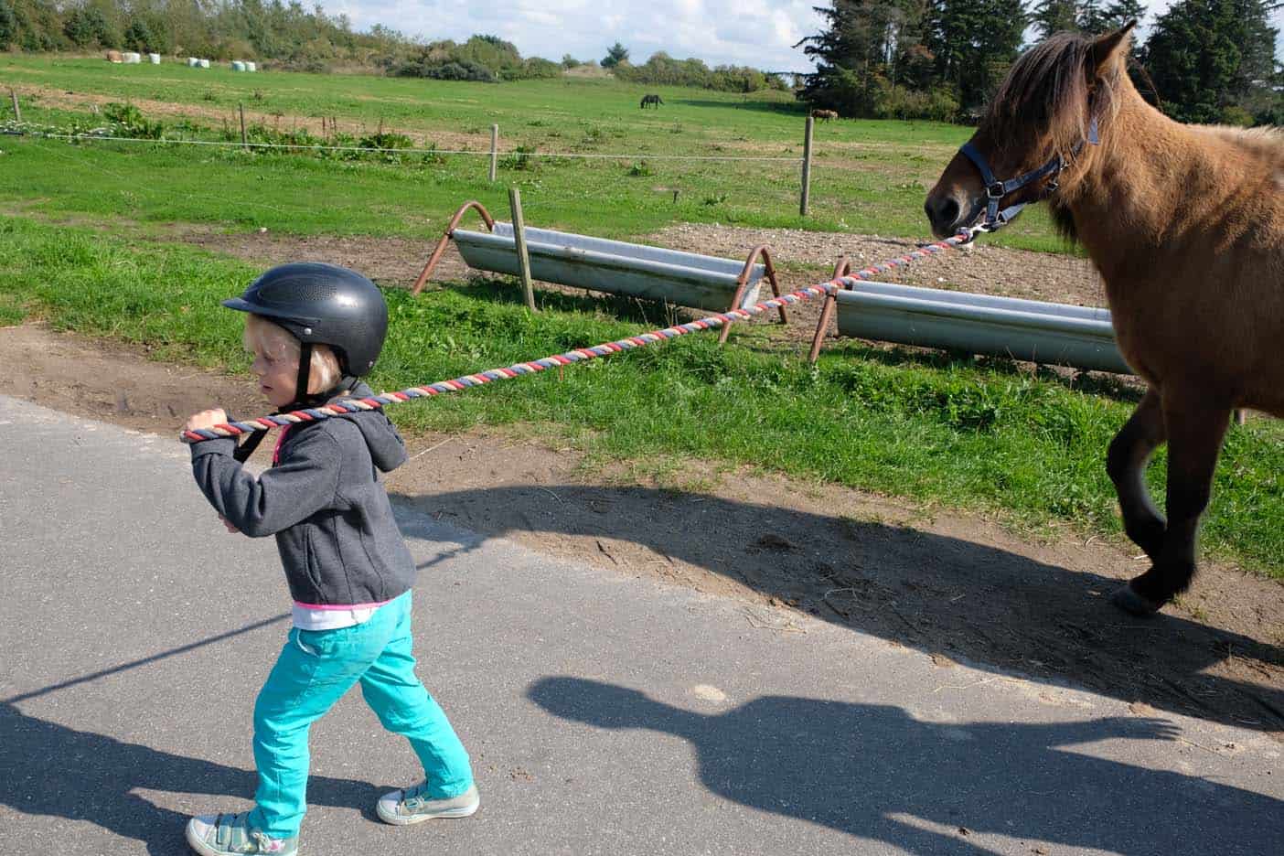 Skallerip seaside resort paardrijden denemarken kinderen