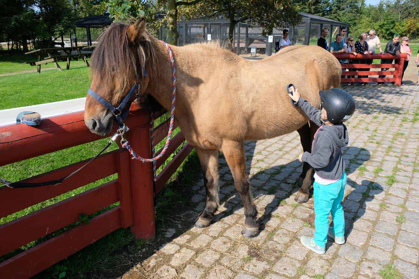 Skallerip seaside resort paardrijden denemarken kinderen