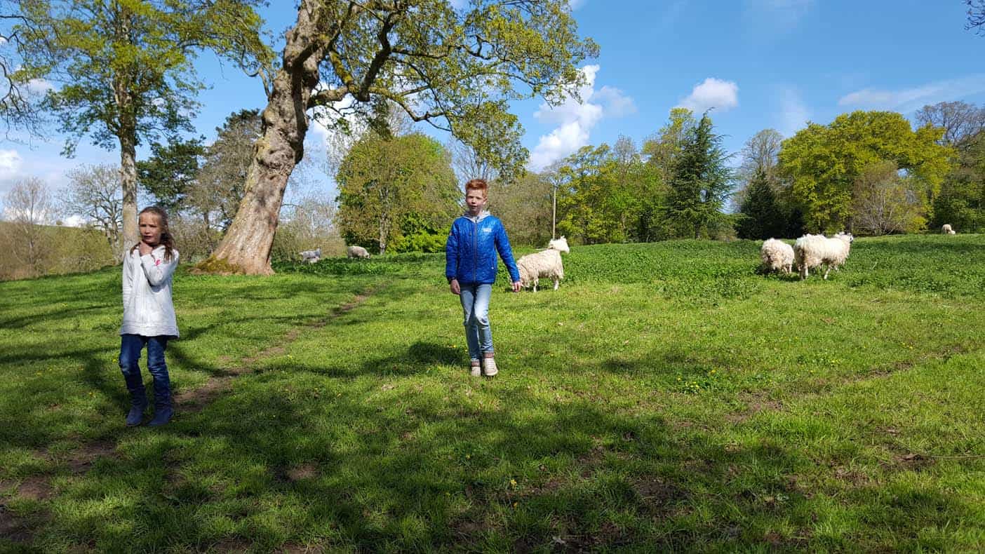 wandelen met schapen upper slaugther