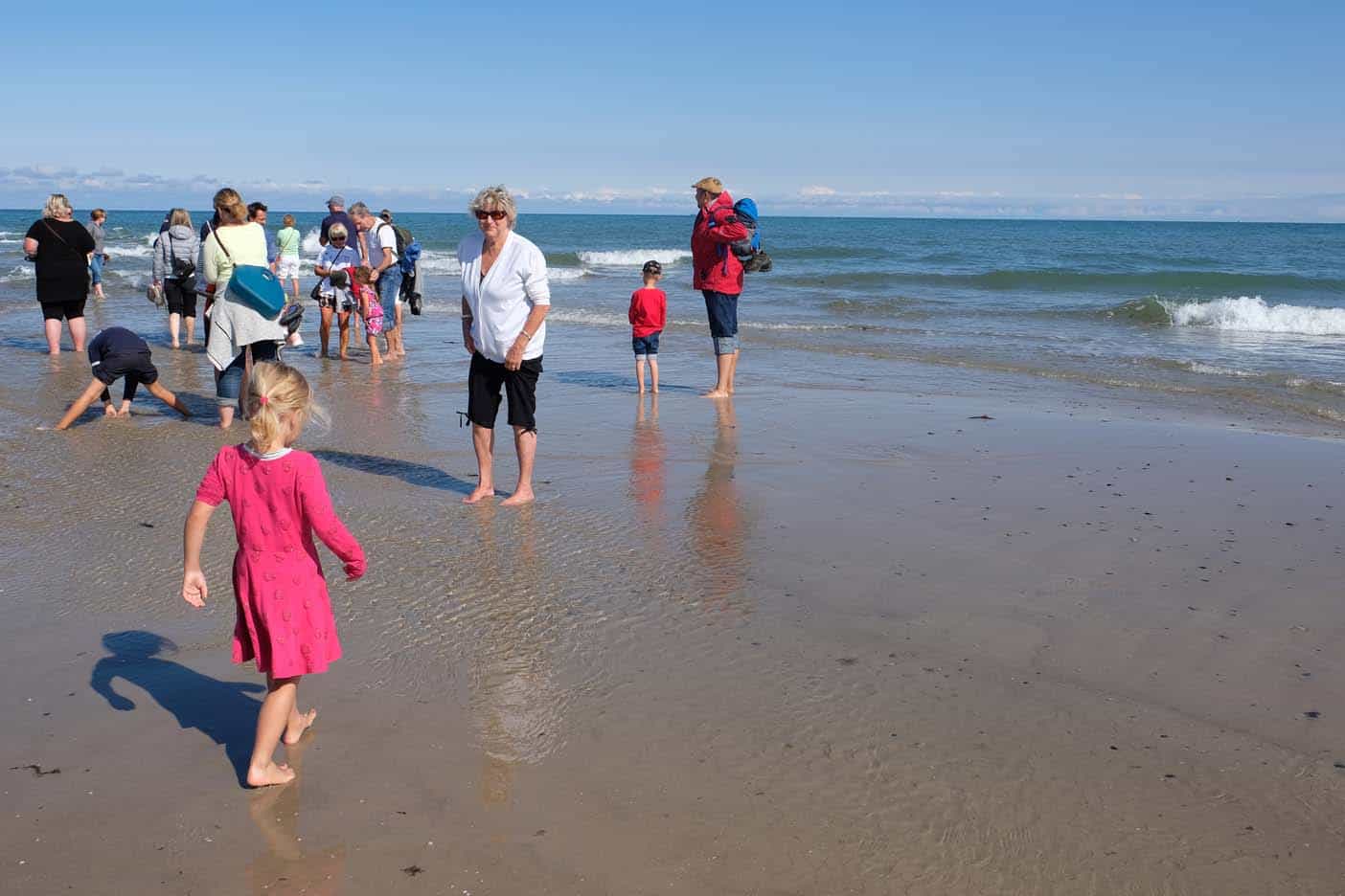 Grenen denemarken