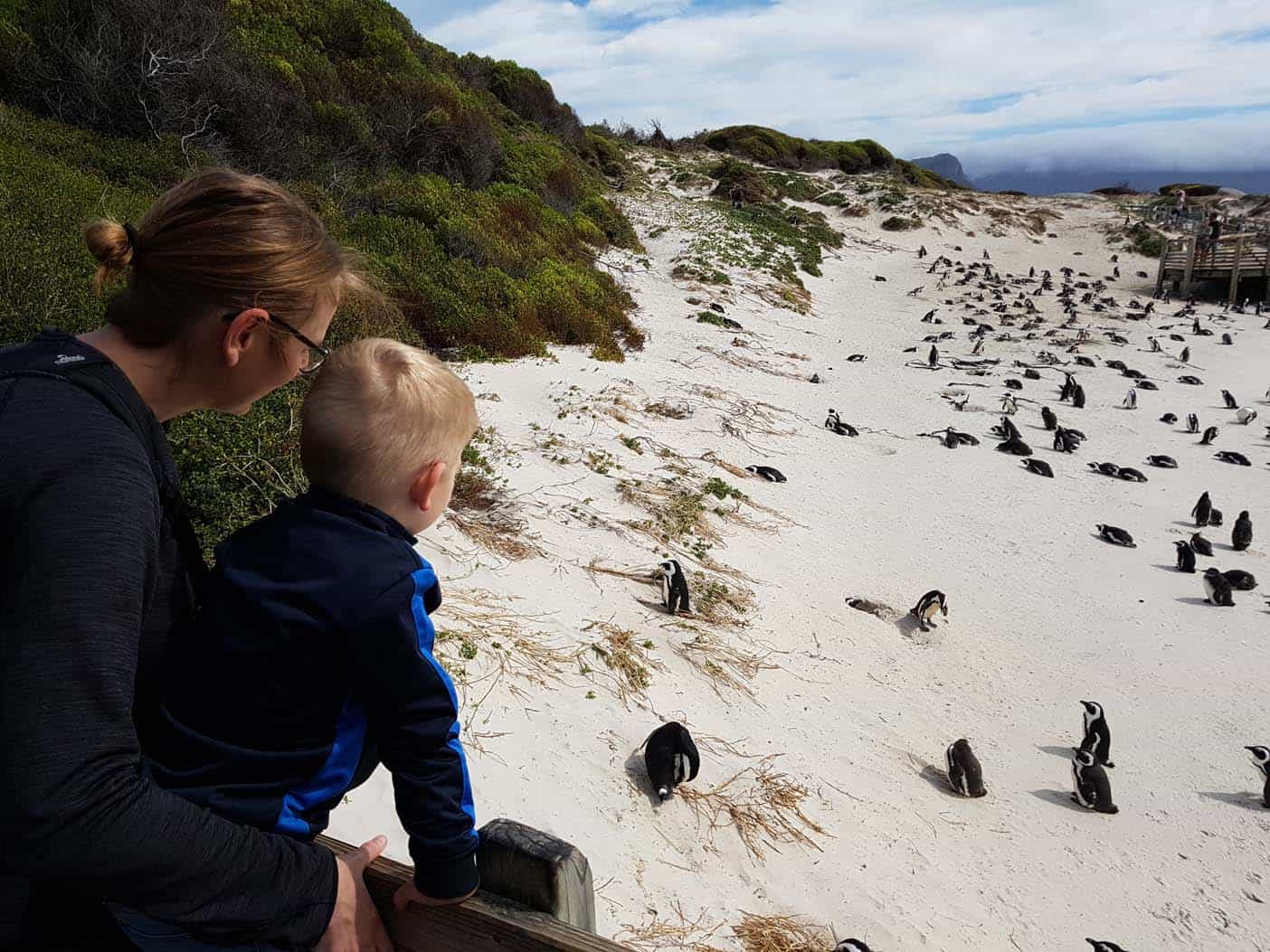 Kaapstad met kinderen