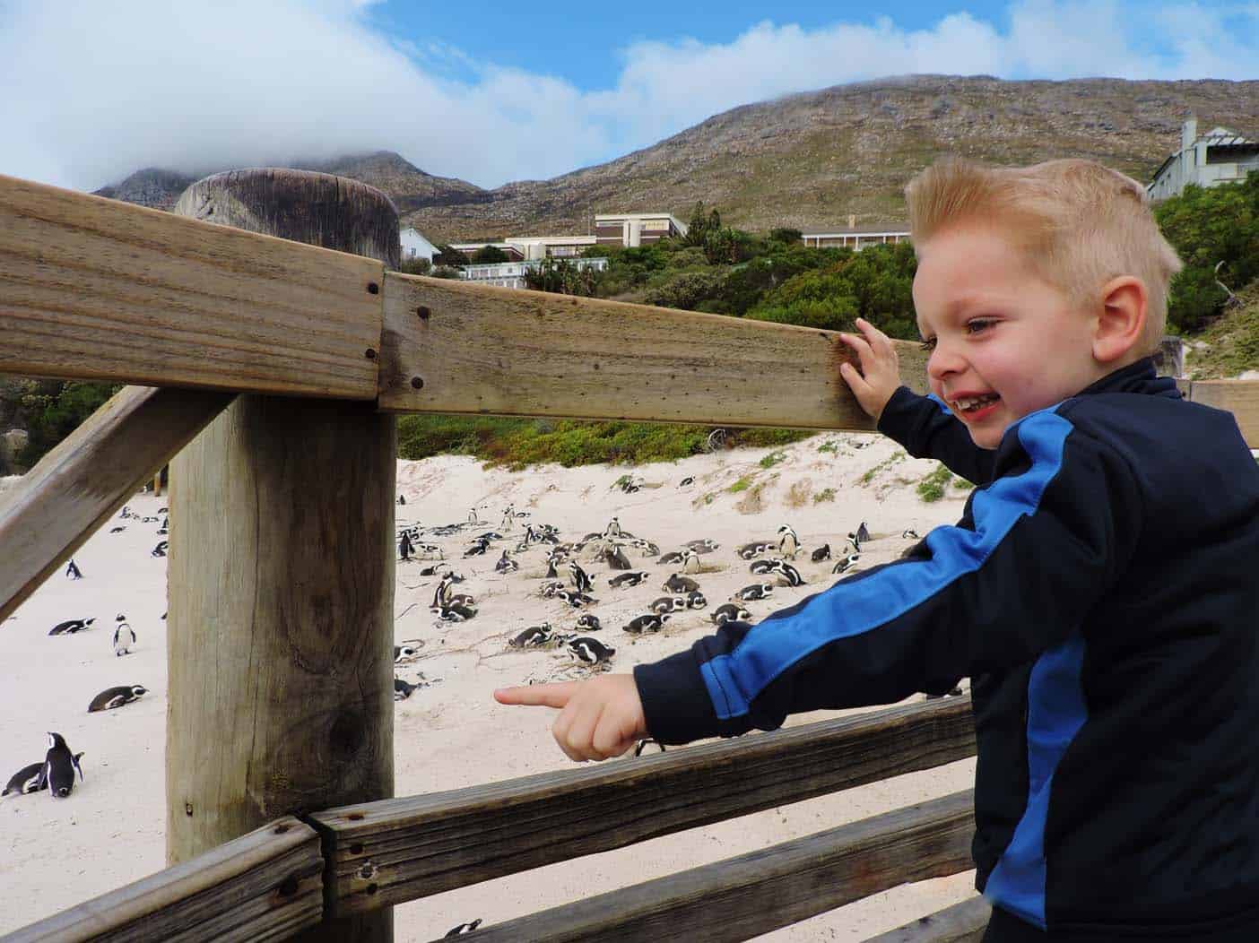 kaapstad met kinderen boulder bay