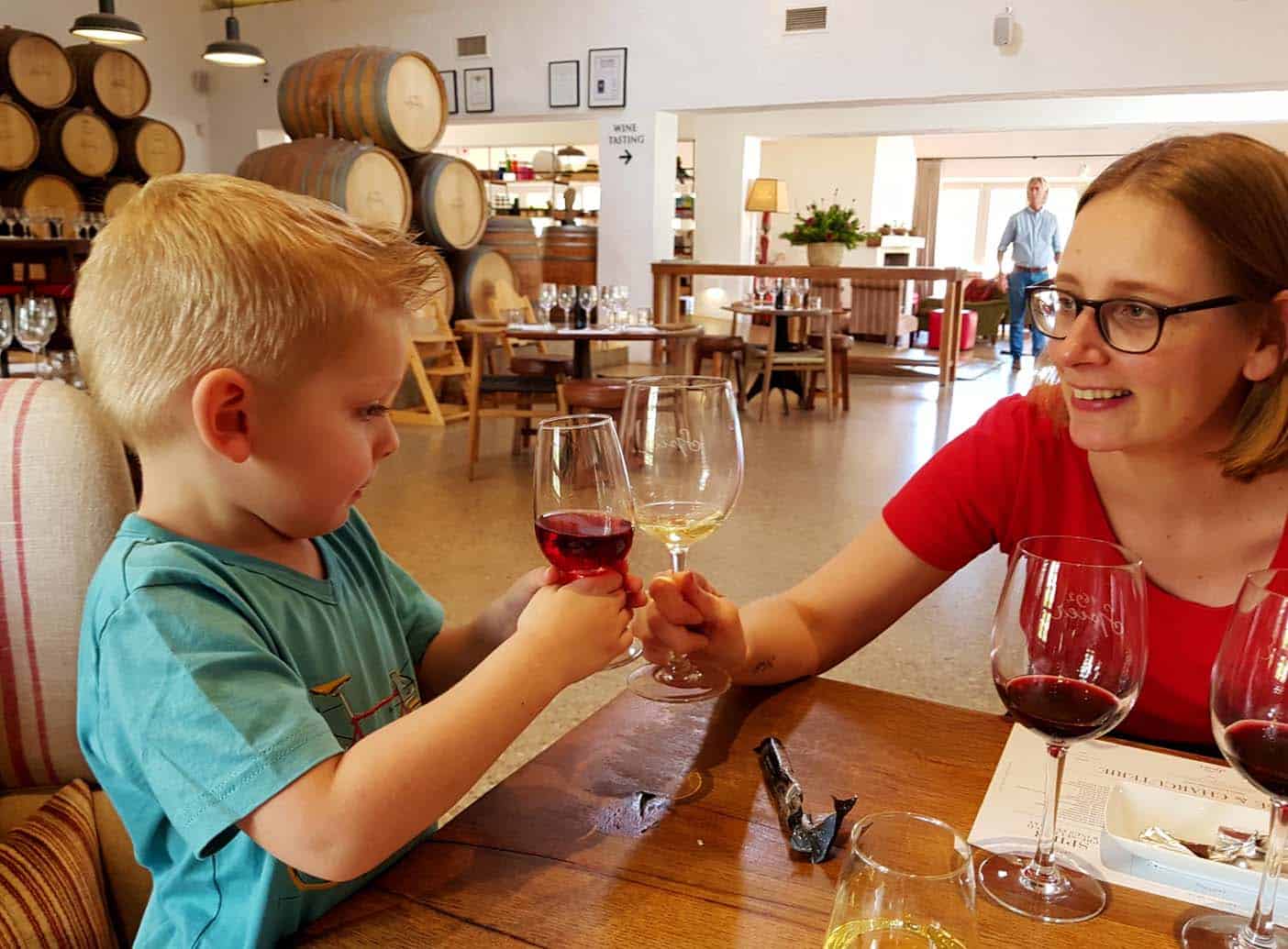 kaapstad met kinderen wijnlanden