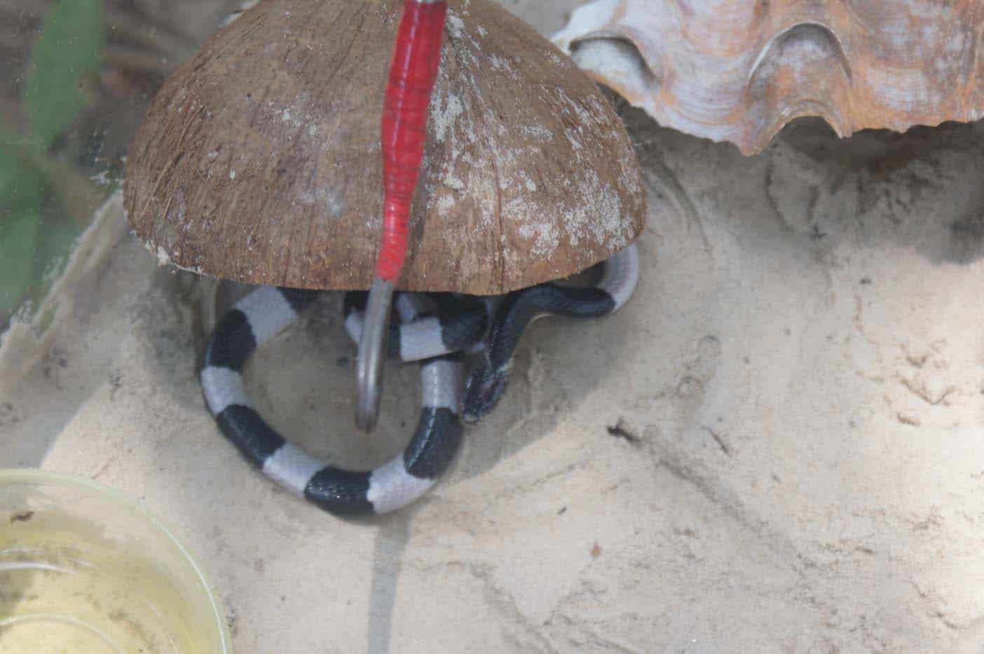 Cambodja Koh Rong