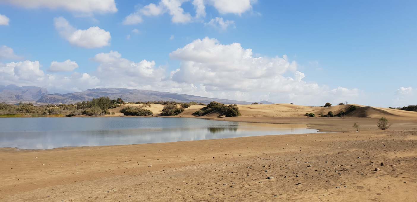 Gran canaia met kinderen stranden