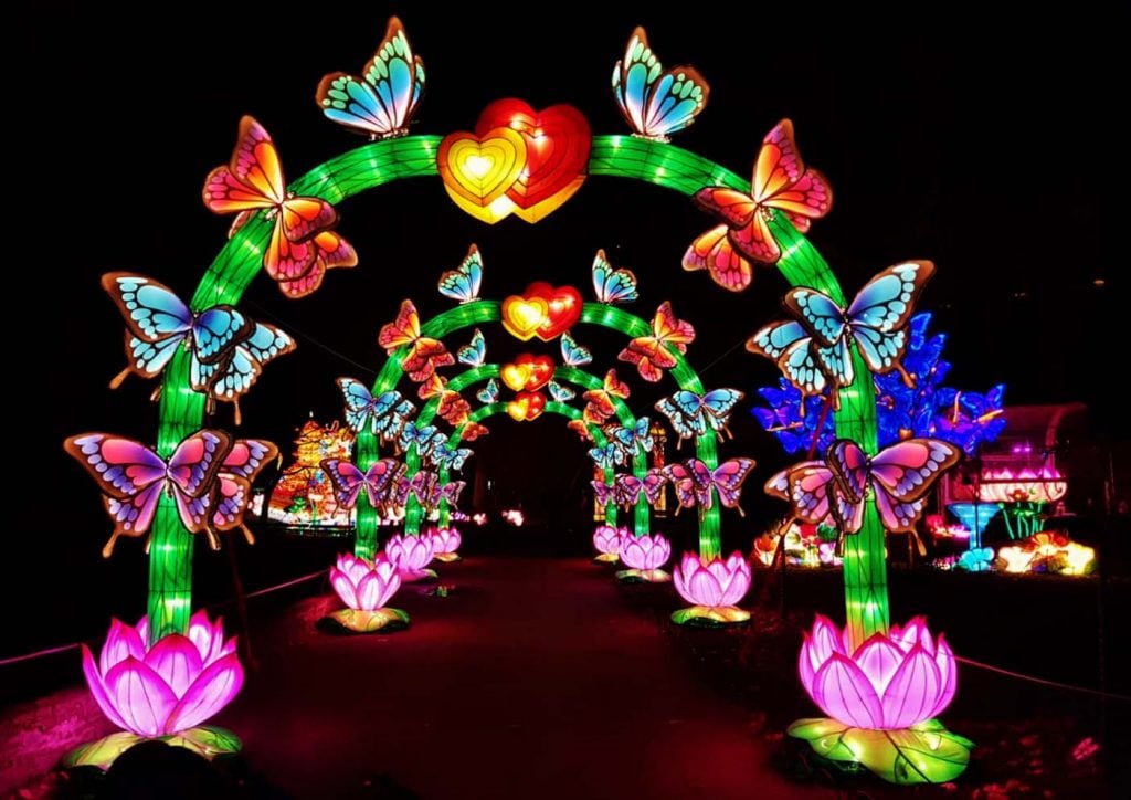 China Light ZOO