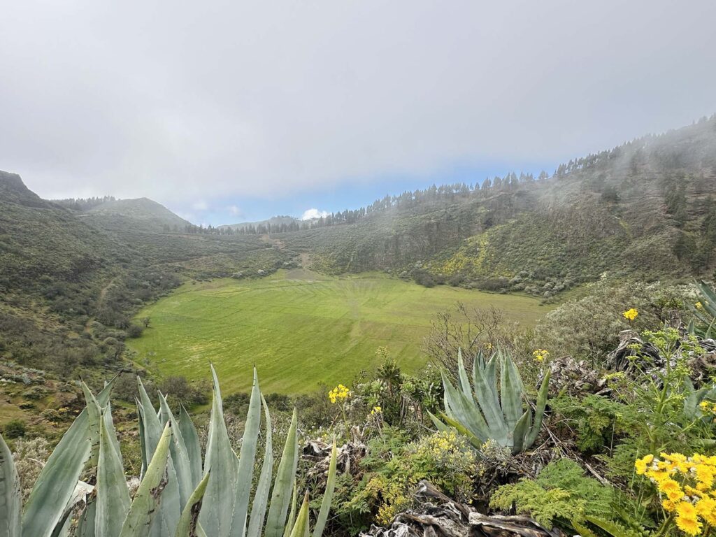 Picos de las Nieves