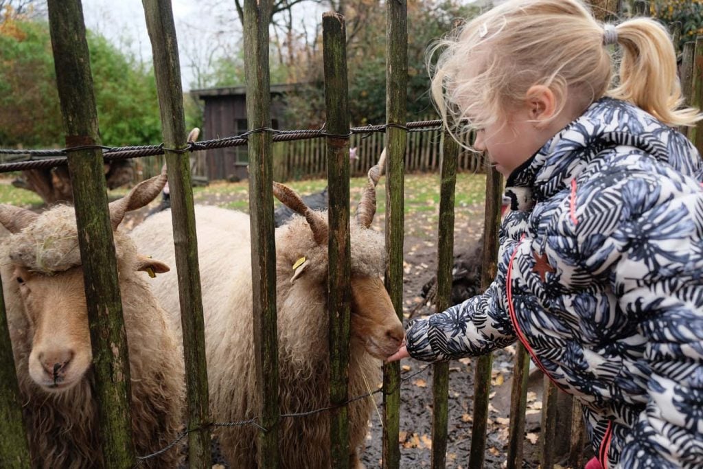 Dierentuin Nordhorn