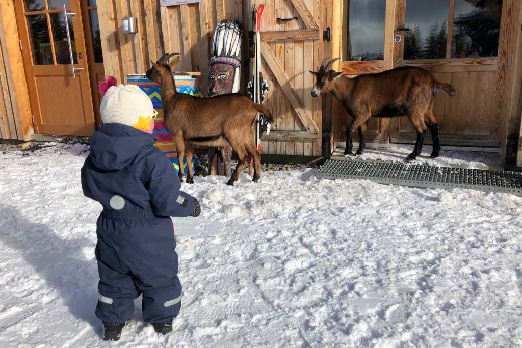 les gets skigebied