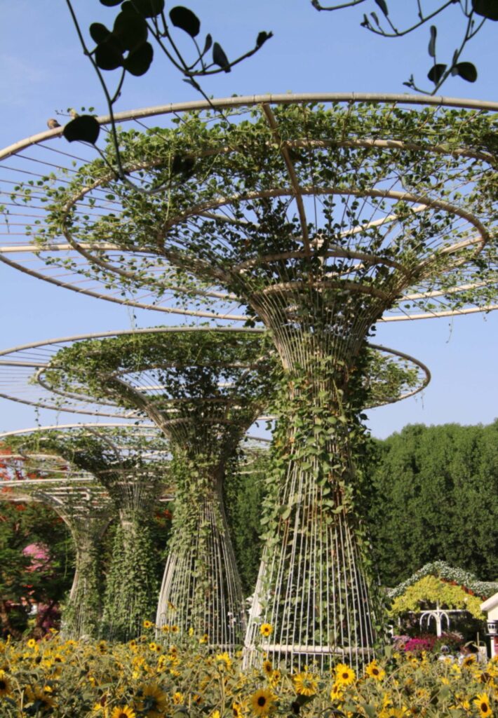 Miracle Garden 