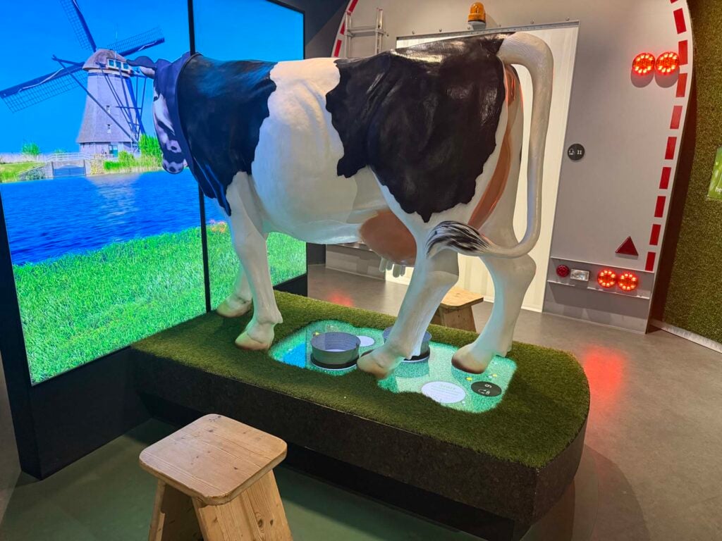 Gouda Cheese Experience