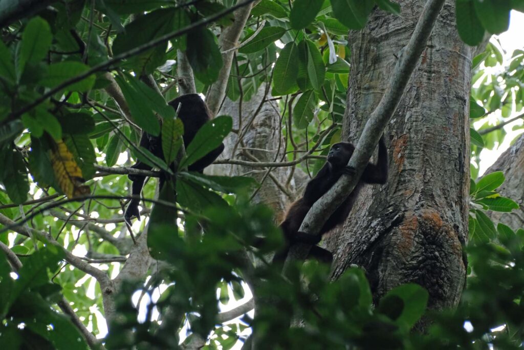 Metropolitan National Park