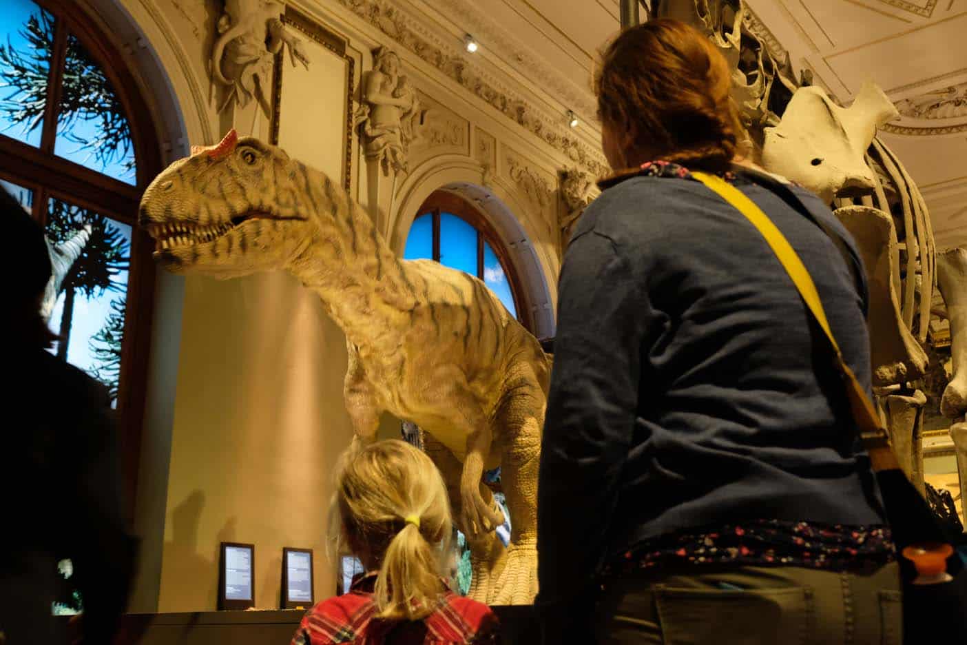 natuurhistorisch museum wenen