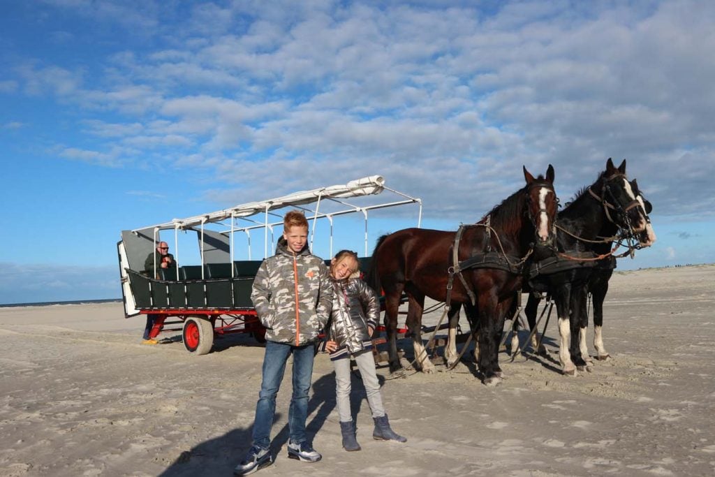 terschelling huifkartocht