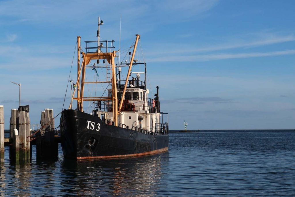 Te gek met kinderen: zeehonden spotten op een vissersboot