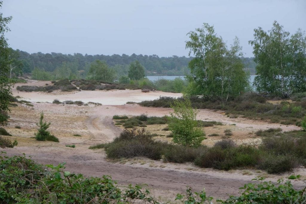 nationaal park de maasduinen