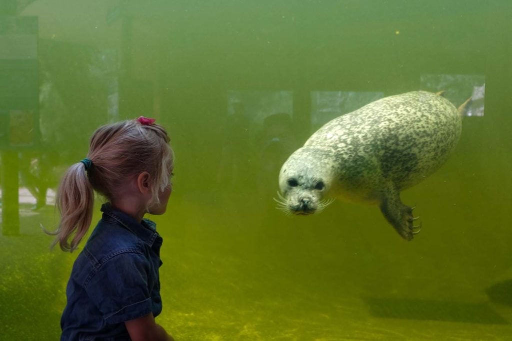 dierentuin duitsland over de grens rheine