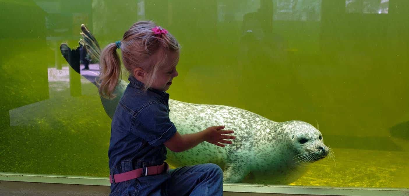 dierentuin duitsland over de grens