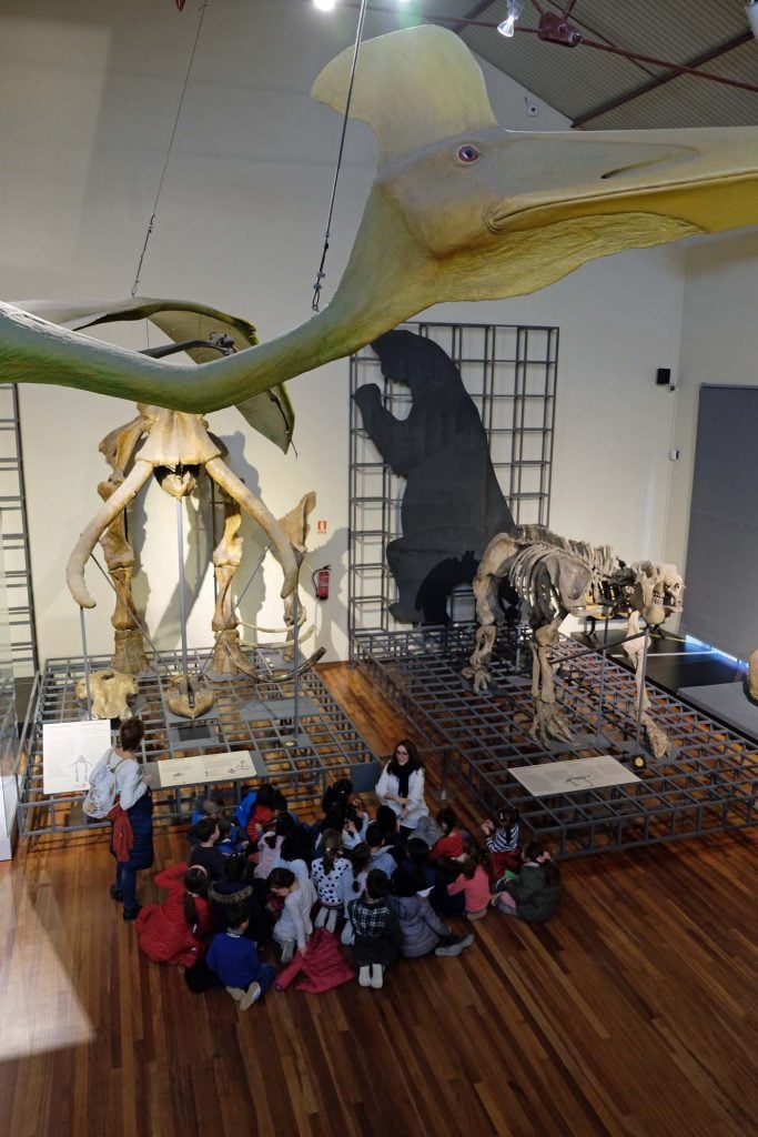 madrid met kinderen natuurhistorisch museum