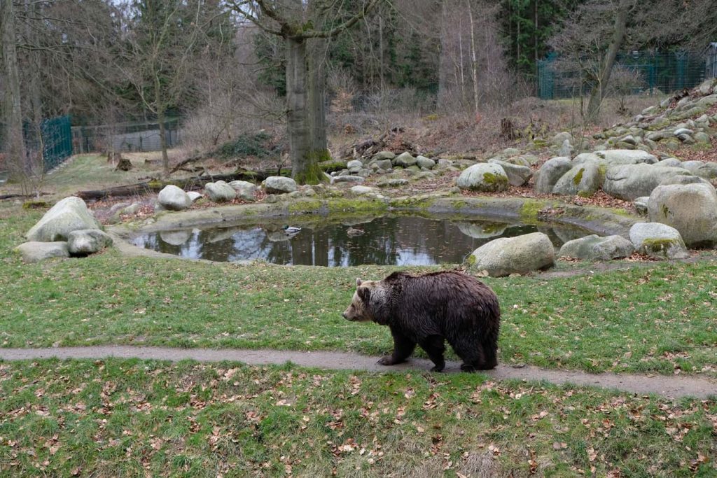 thale dierentuin