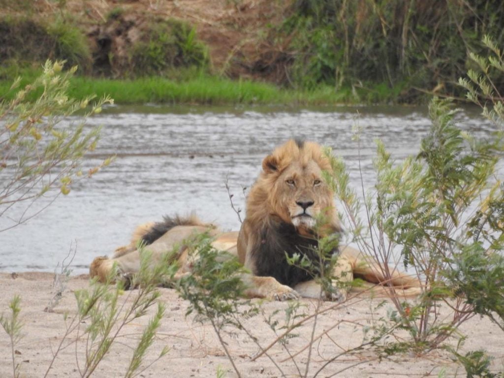 Interview: Wereldreis door Afrika, Azië en Oceanië