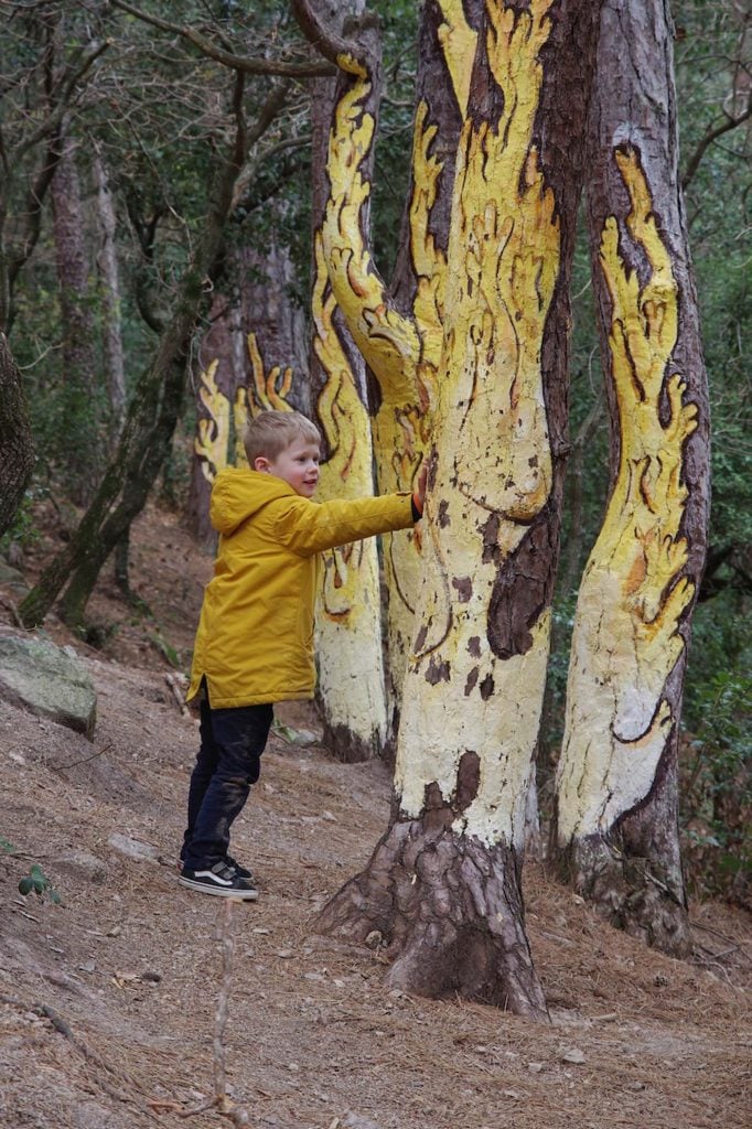 Catalonie met kinderen, paddenstoelenwandeling